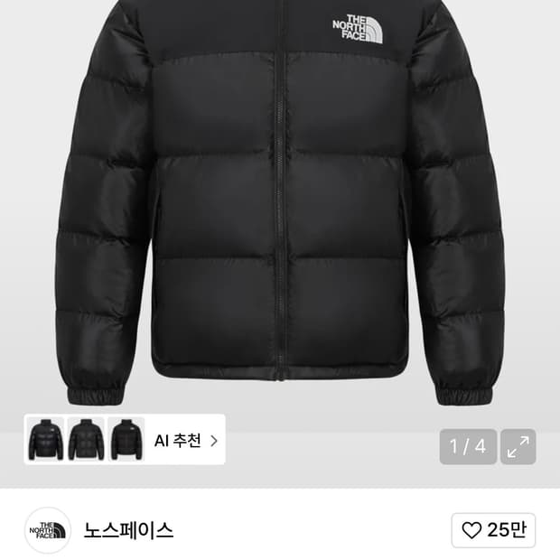 노스페이스 눕시 패딩