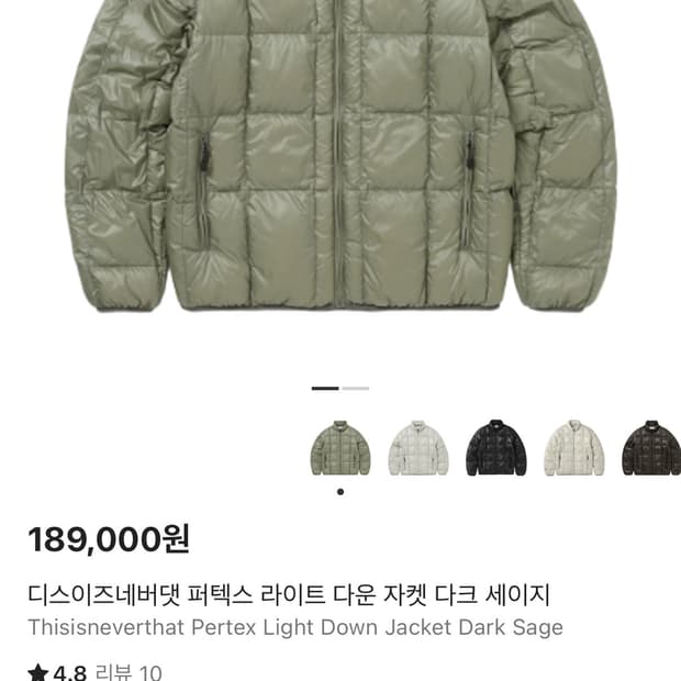 디스이즈네버댓 다크 세이지