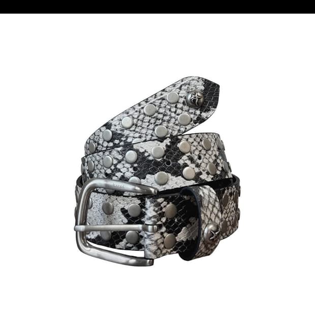 카라스 벨트 아오이로