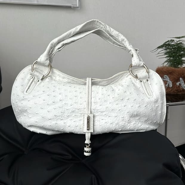 셀린느 타조 엠보 호보백