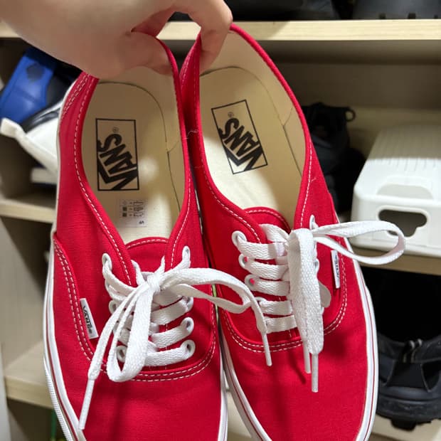 반스 어센틱 250