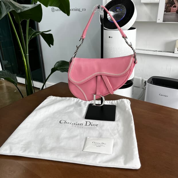 디올 스티치 레더 새들백