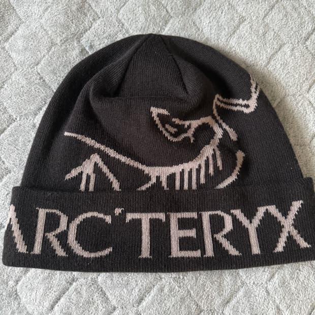 아크테릭스 비니