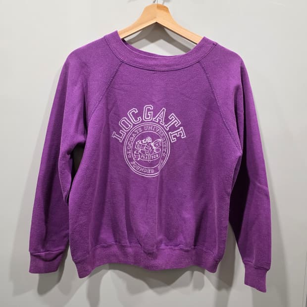 헤인즈(Hanes) 빈티지 그래픽 퍼플 맨투맨