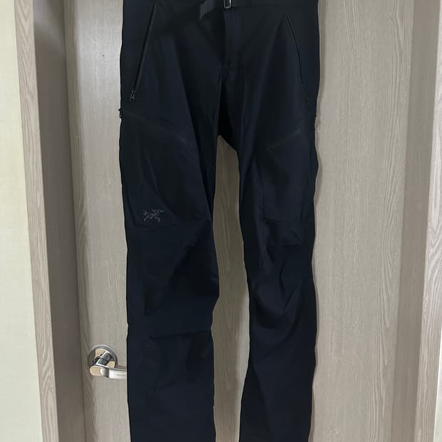 아크테릭스 펠리세이드 팬츠 