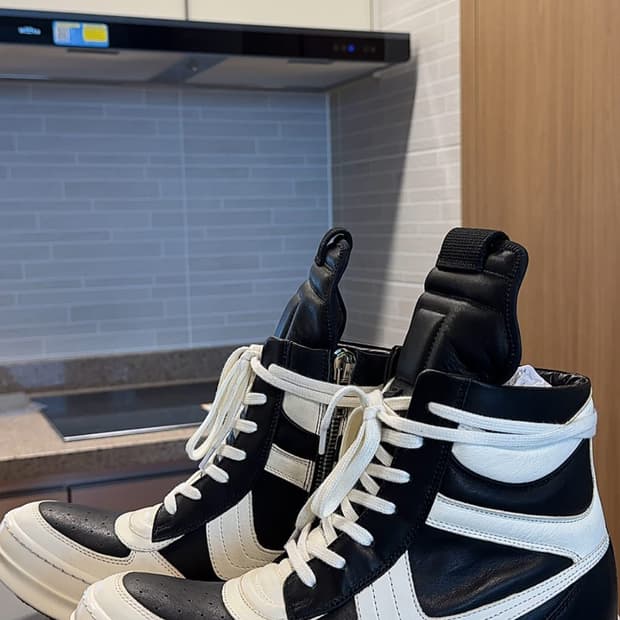 릭오웬스 나이키 덩크