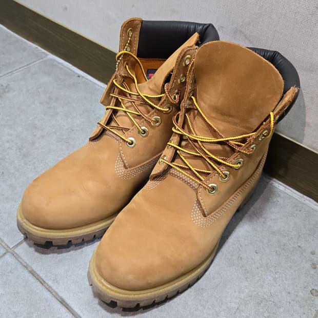 팀버랜드 6인치 (255-US7.5)