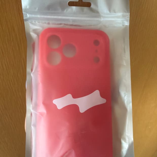 Skylrk iphone 17pro max case