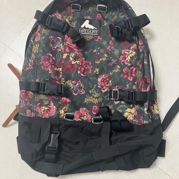 그레고리 구로고 데이앤하프