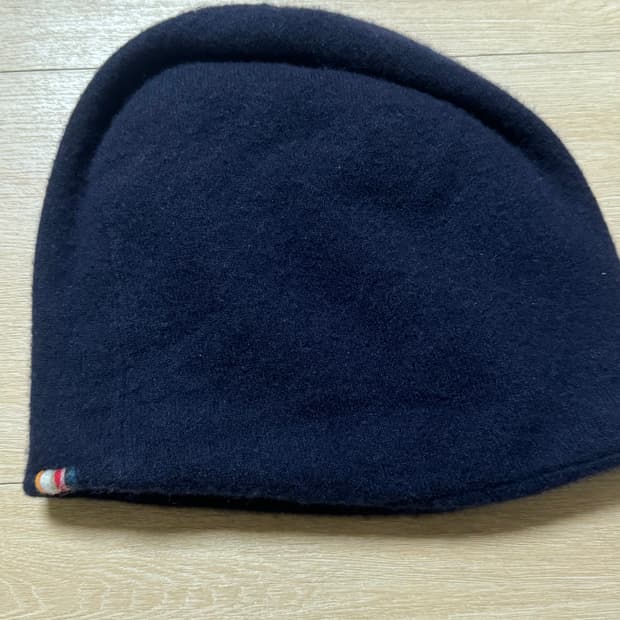 Extreme cashmere bon 비니