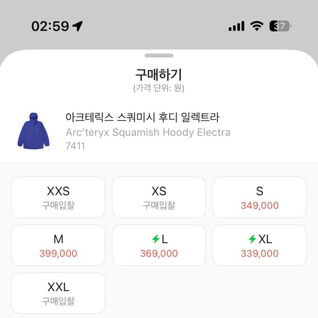 아크테릭스 스쿼미시 후디 일렉트라