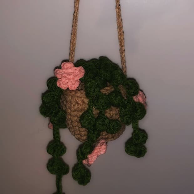 plant pot crochet🪴_화분 뜨개 장식