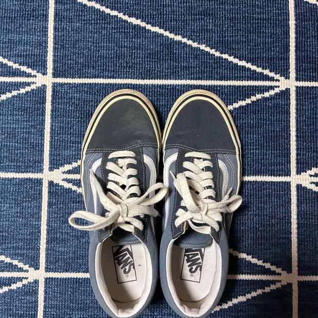 반스 올드스쿨 에너하임 265