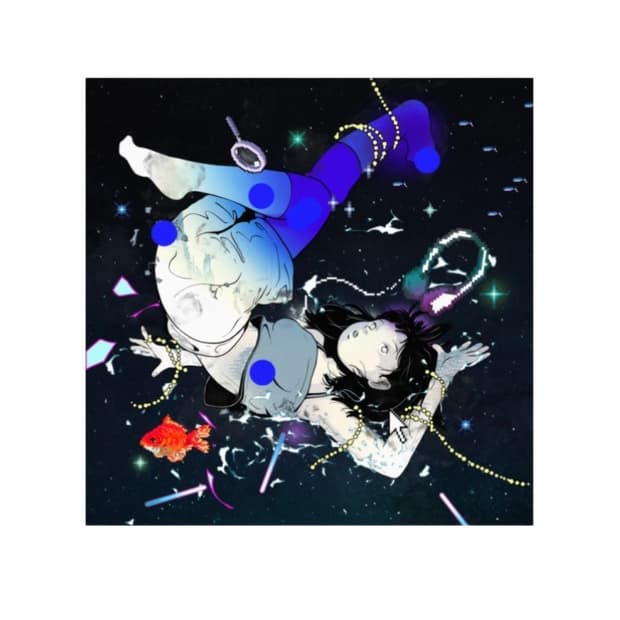 한로로 이상비행 LP