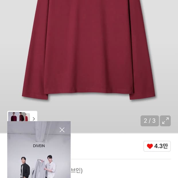 다이브인 롱슬리브