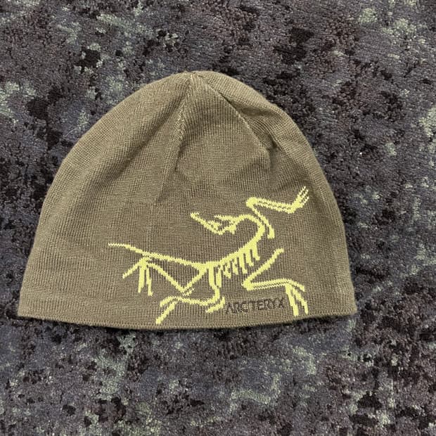 아크테릭스 비니