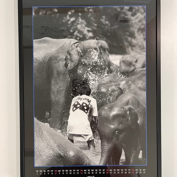 스투시 30주년 한정판 아트 포스터 캘린더 June