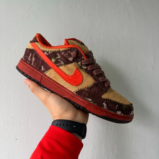 Rare 2004 나이키 덩크 로우 리즈 포브스 헌터
