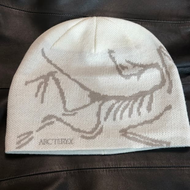 아크테릭스 버드 헤드 토크 룬