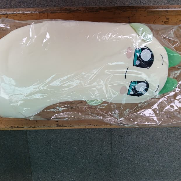 꼭 안아줘요 양파쿵야 바디필로우 팝니다