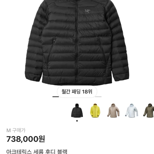 아크테릭스 세륨 후디 블랙 M