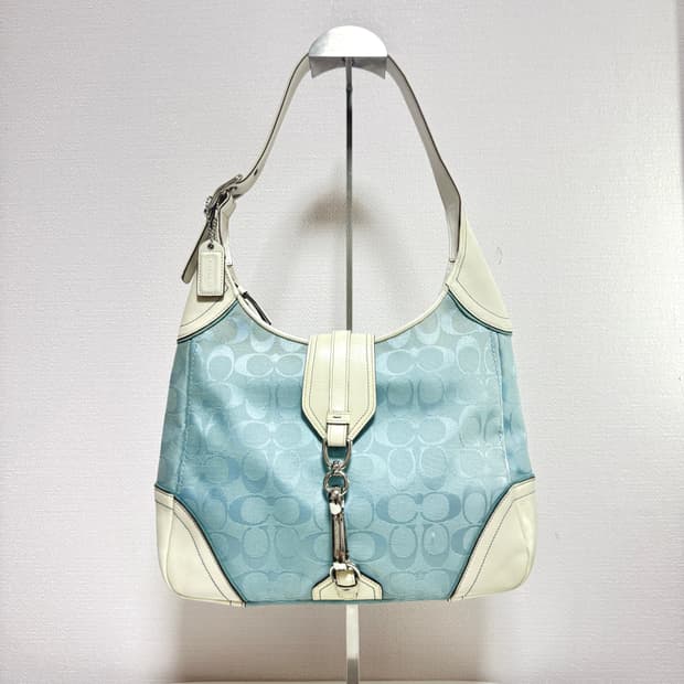 희귀⚡️레어 y2k 코치백