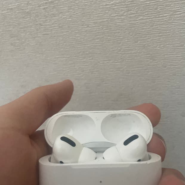 애플 에어팟 프로 1세대