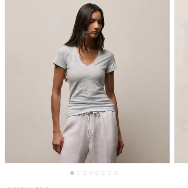 제임스펄스 브이넥 반팔티