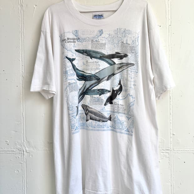 GILDAN t-shirt