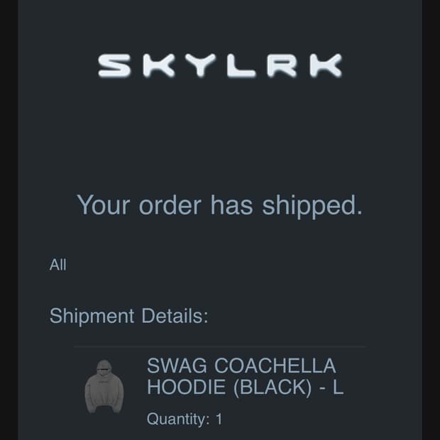 Skylrk Swag Coachella Hoodie (Black) - L
