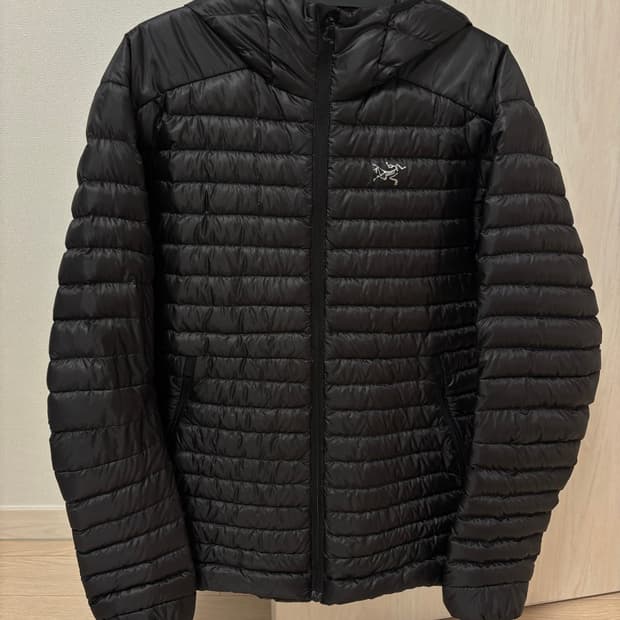 아크테릭스 세륨 sl 후디