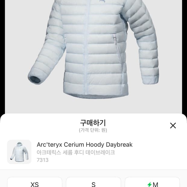 아크테릭스 세륨 데이브레이크 s