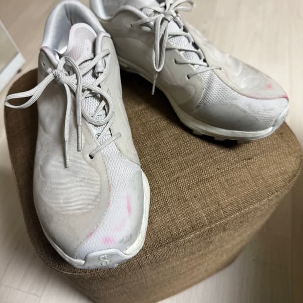 온러닝 파프 (255)