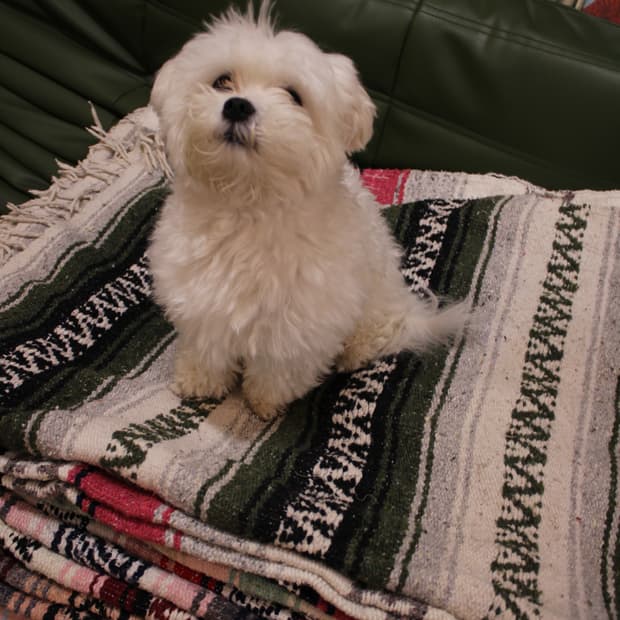 오늘 단 하루 전제품 네고 가능 열어뒀습니다.