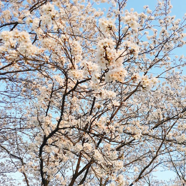 스탠딩 곰 결제창 