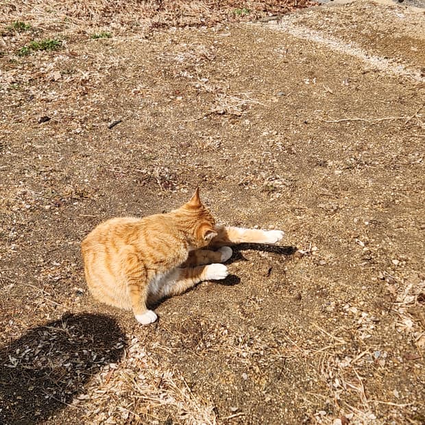 일주일간 후르츠에서만 특별 할인