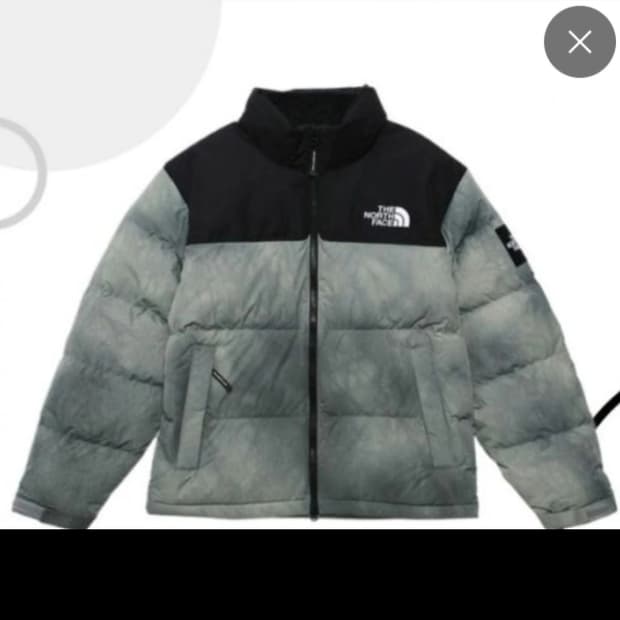 노스페이스 다잉 눕시 패딩 95