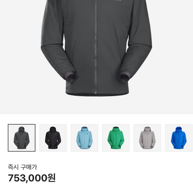 (택보유) 아크테릭스 아톰 LT 후디 글리치