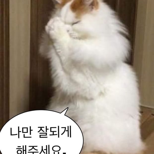 무신사 8월 생일쿠폰/적립금 삽니다 ❗️