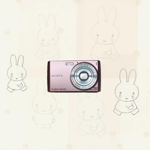 소니 카메라 Sony SteadyShot DSC-W510