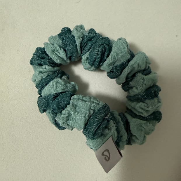 코이세이오 스크런치