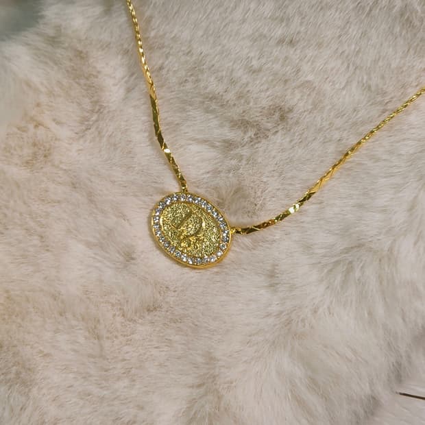 디올 금장 타원형 Dior 플레이트 로고 목걸이