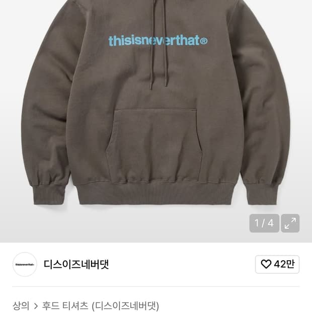 디스이즈네버댓 T-Logo Lt Hoodie