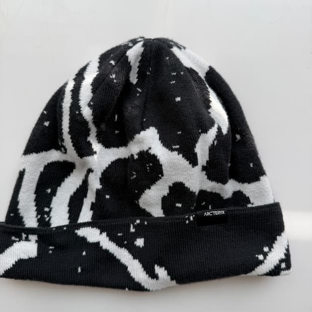 아크테릭스 비니