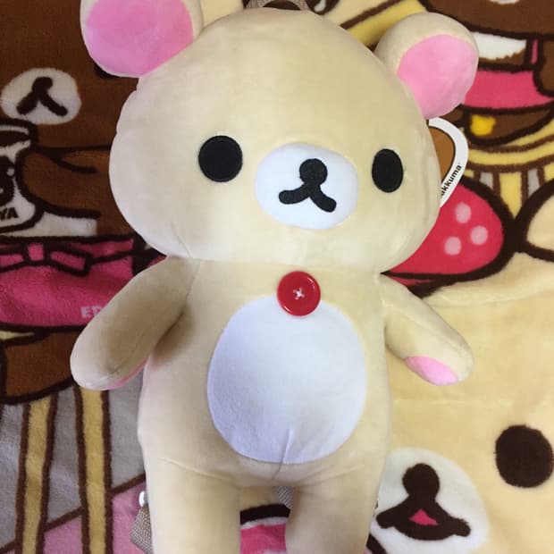 코리락쿠마 백팩 미사용 정품