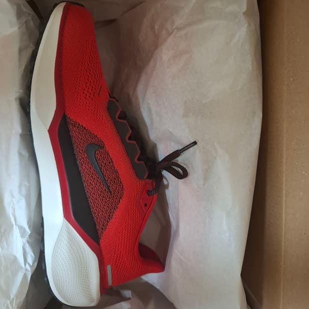 나이키 에어 줌 페가수스 41 유니버시티 레드 라이트 크림슨