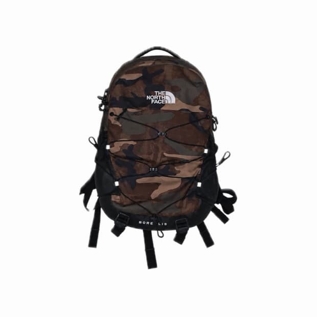 Thenorthface bp