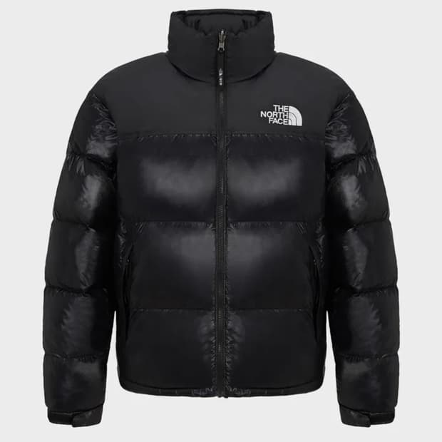 노스페이스 눕시 1996