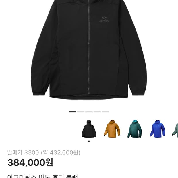 아크테릭스 아톰 후디