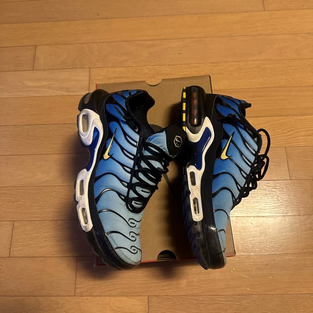 에어맥스 플러스 OG